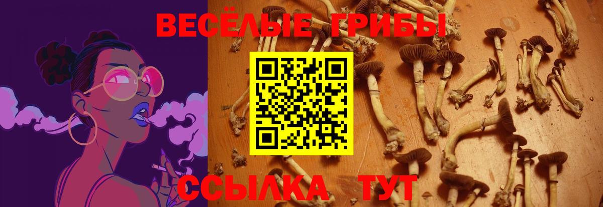 Галлюциногенные грибы Magic Shrooms Рузаевка
