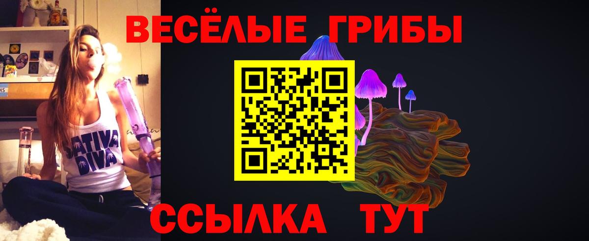 Рузаевка  Псилоцибиновые грибы прущие грибы  Вход с VPN 
